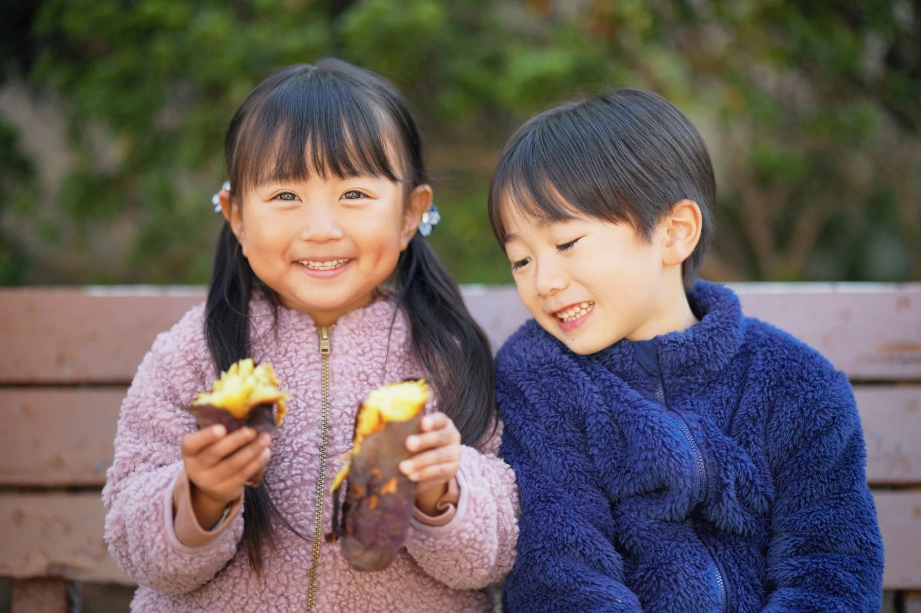 AdobeStock_242947089