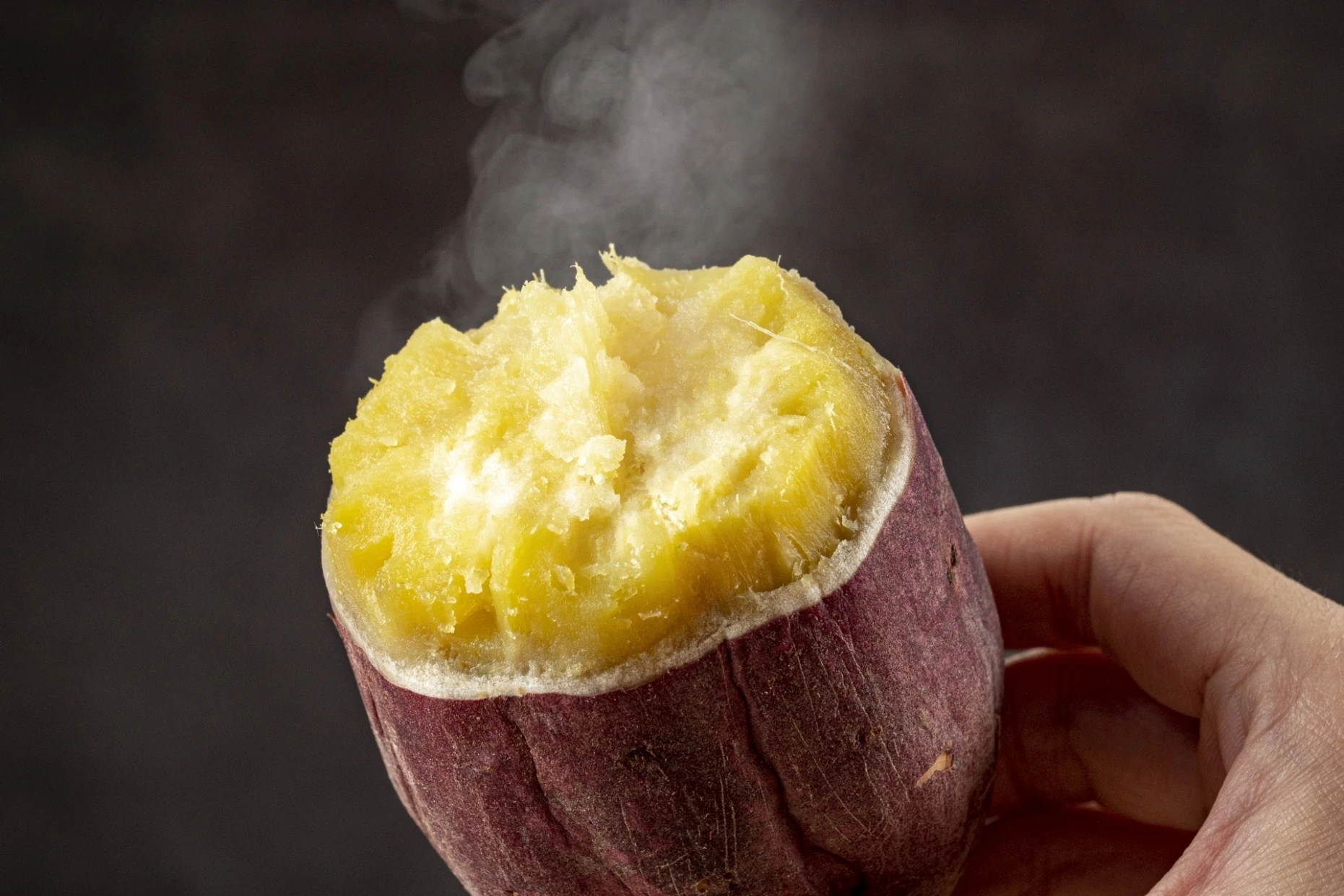 AdobeStock_256098449