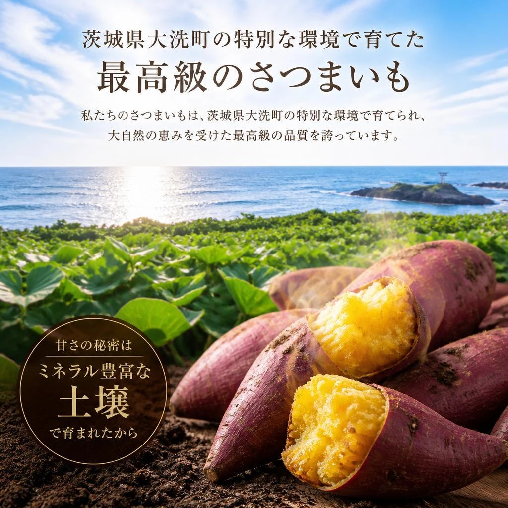 こだわりのさつまいも選び
