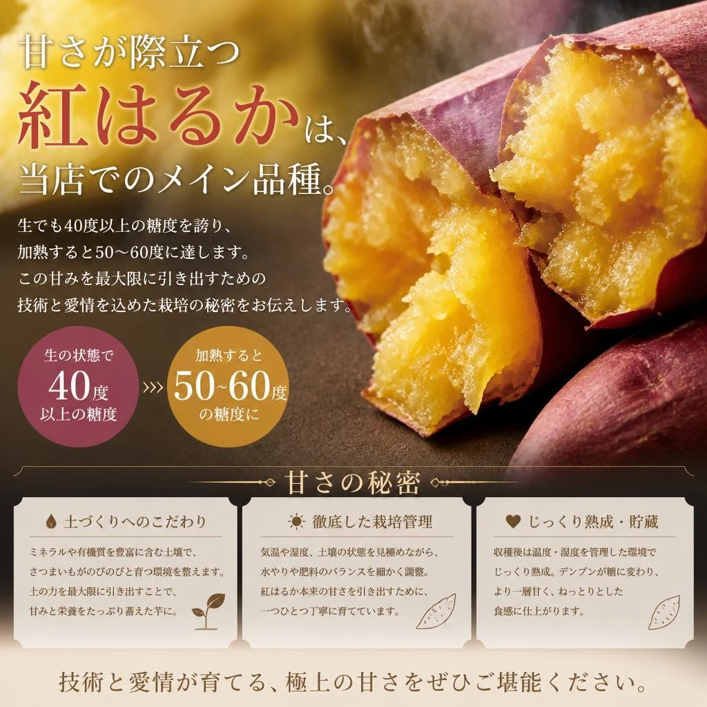 紅はるかの特徴