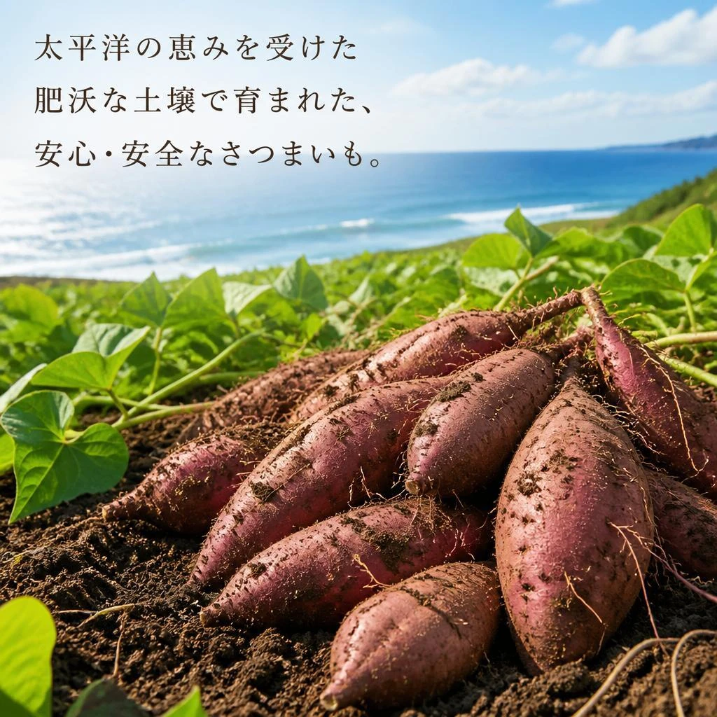 こだわりの生産プロセス