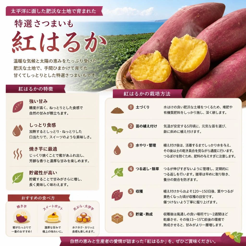 自然の恵み：大洗町のさつまいも